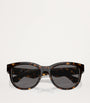 Brown Steel BE4432U Sunglasses