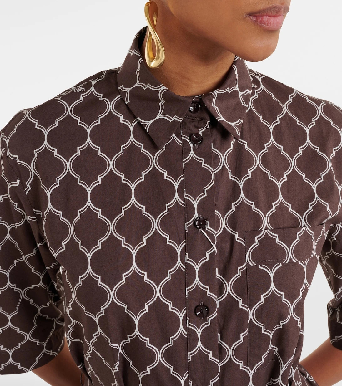 Max Mara - Daniel printed cotton shirt dress