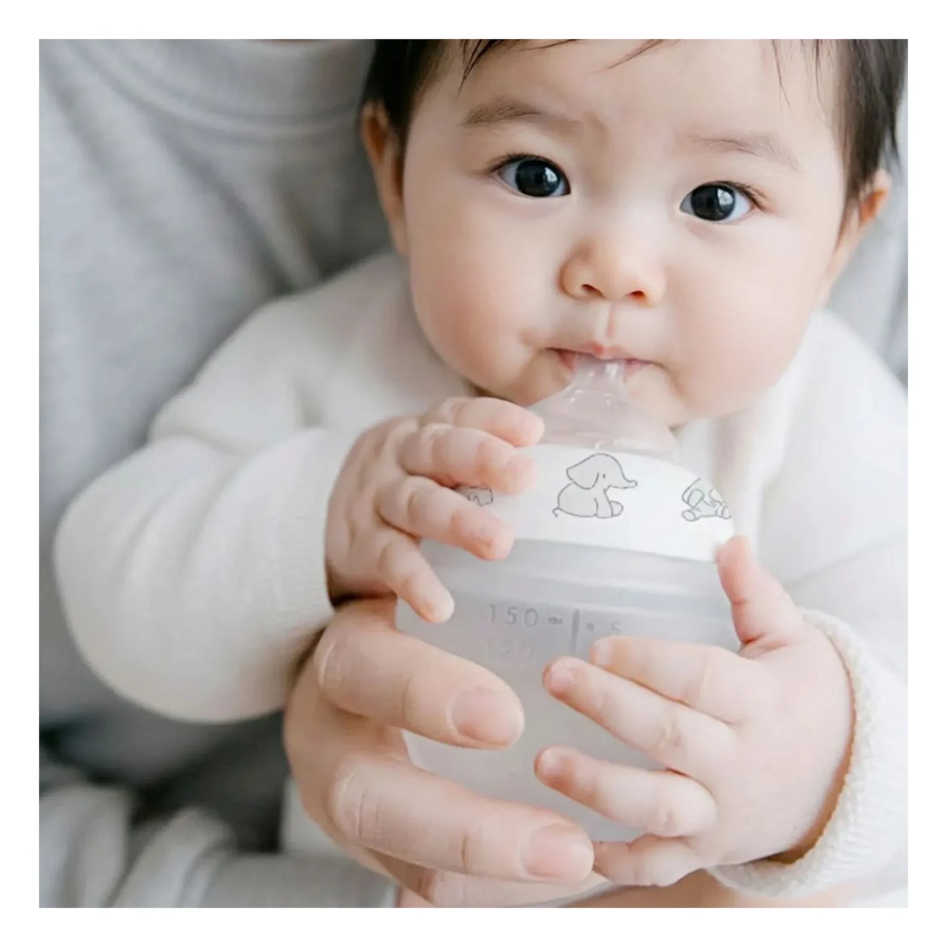 Elhée - Elephants medical silicone bottle and physiological teat