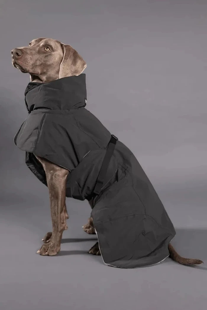 Köpekler için su geçirmez palto