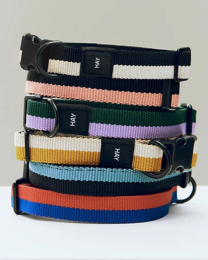 HAY Köpek Tasması M/L 2,5 x 40-65 cm