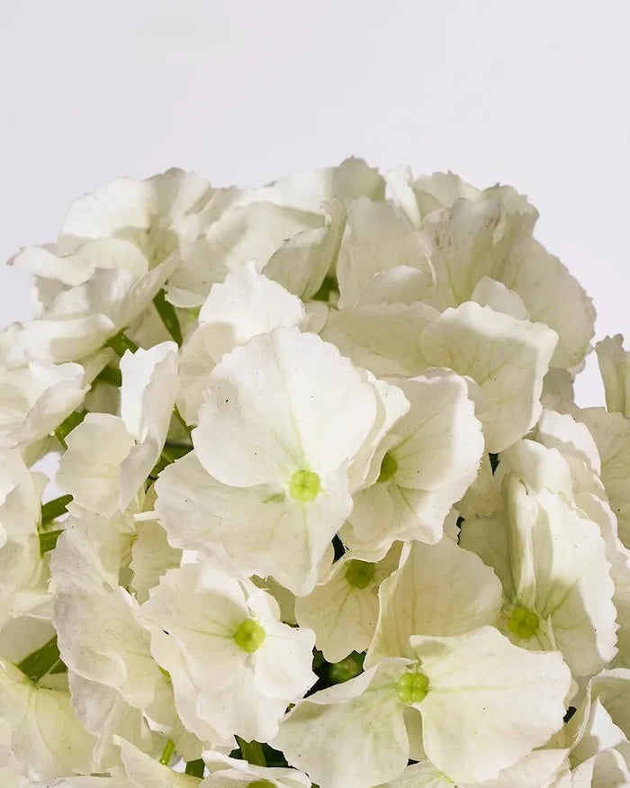 House Doctor HDHydrangea 22 x 50 cm Yapay Çiçek