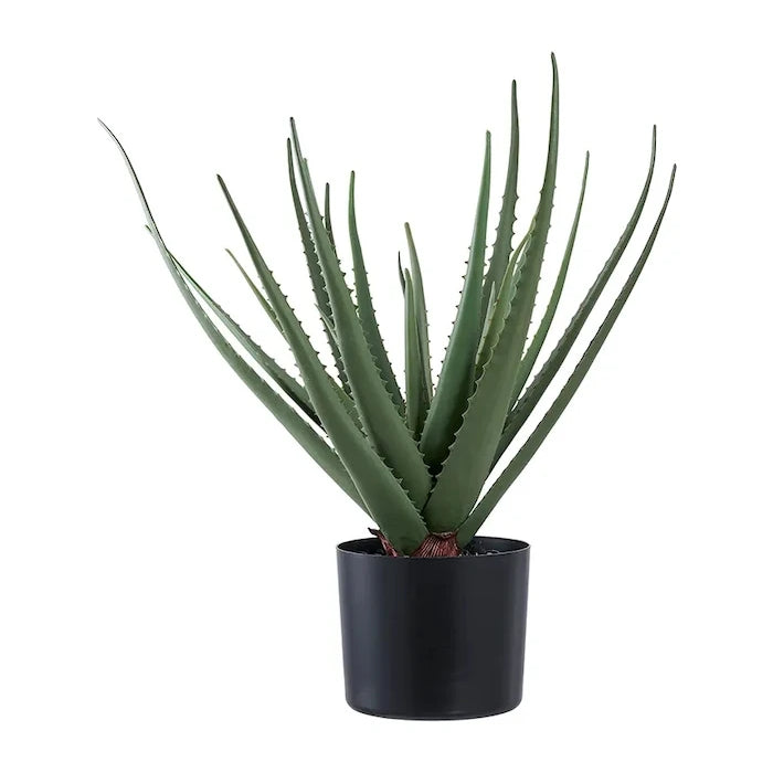 House Nordic Aloe Vera Yapay Saksı Bitkisi
