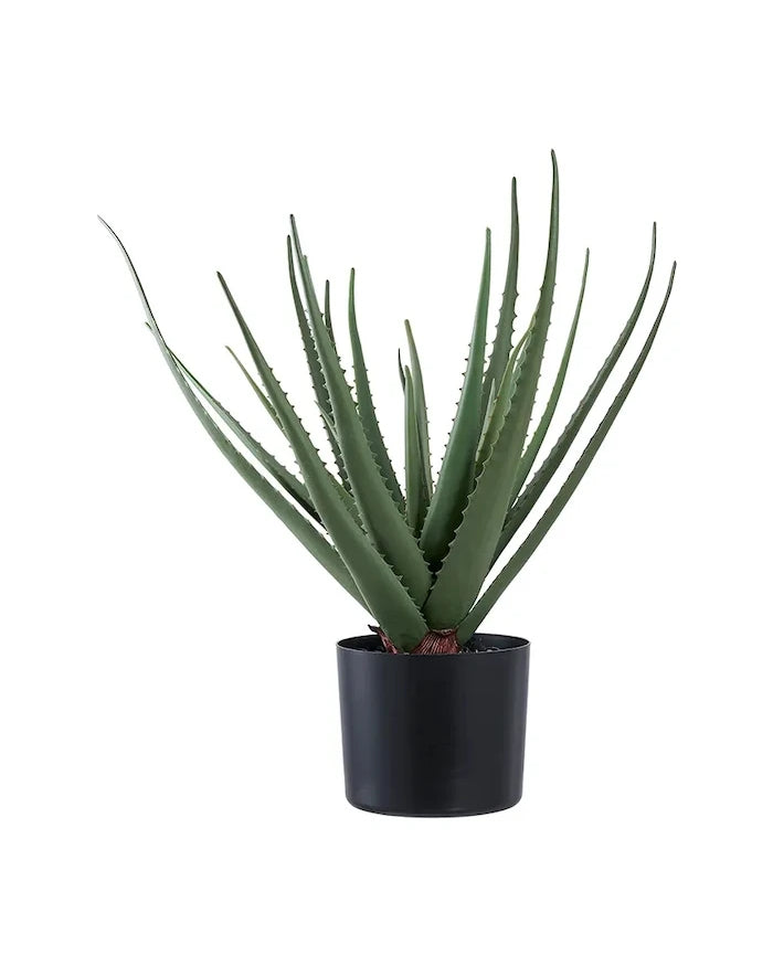 House Nordic Aloe Vera Yapay Saksı Bitkisi