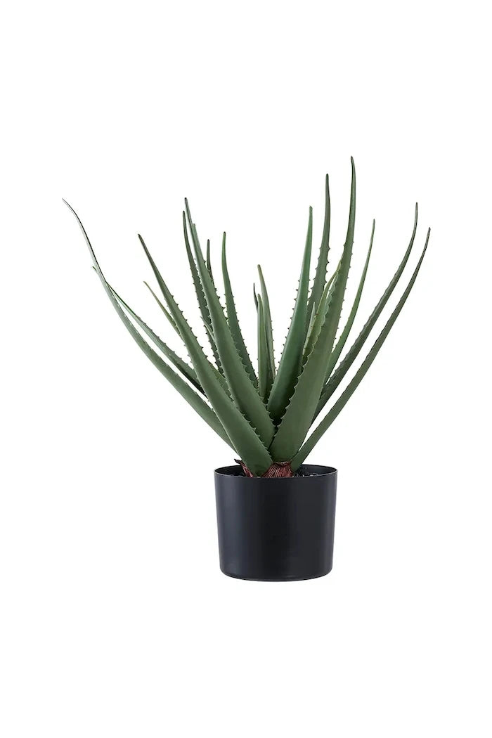 House Nordic Aloe Vera Yapay Saksı Bitkisi