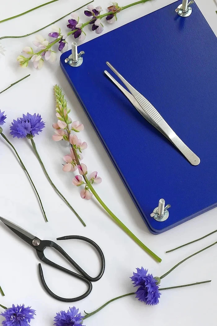 Printworks Flower Press DIY Çiçek Kurutma Seti