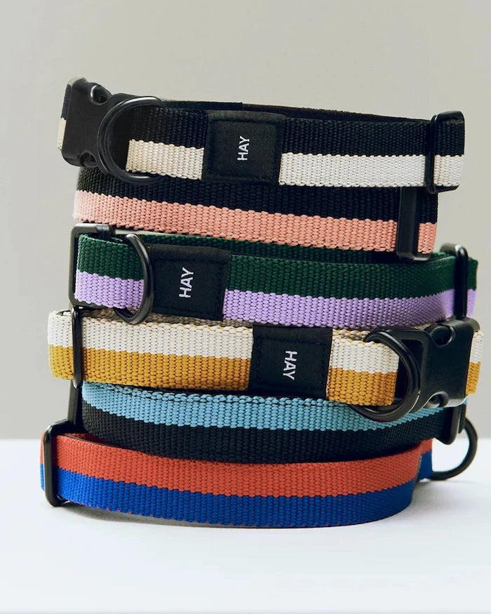 HAY Köpek Tasması M/L 2,5 x 40-65 cm