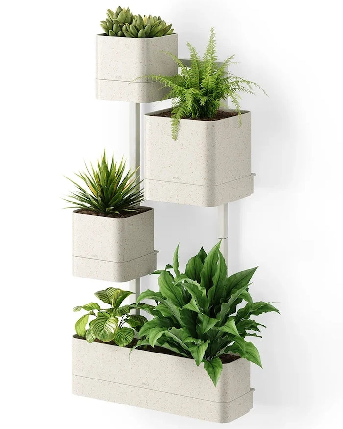 Umbra Cubiko Duvar Çiçekliği