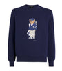 Cotton-Blend Performance Polo Bear Sweatshirt