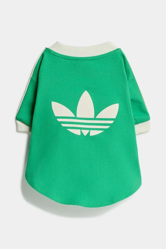 adidas Originals Evcil Hayvan Pet Cali