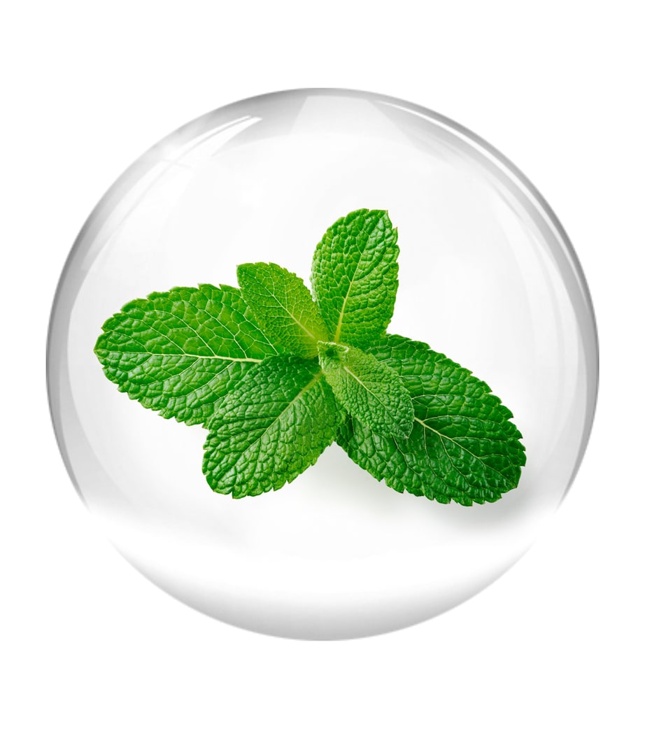 Vital Contour Cream (15ml)