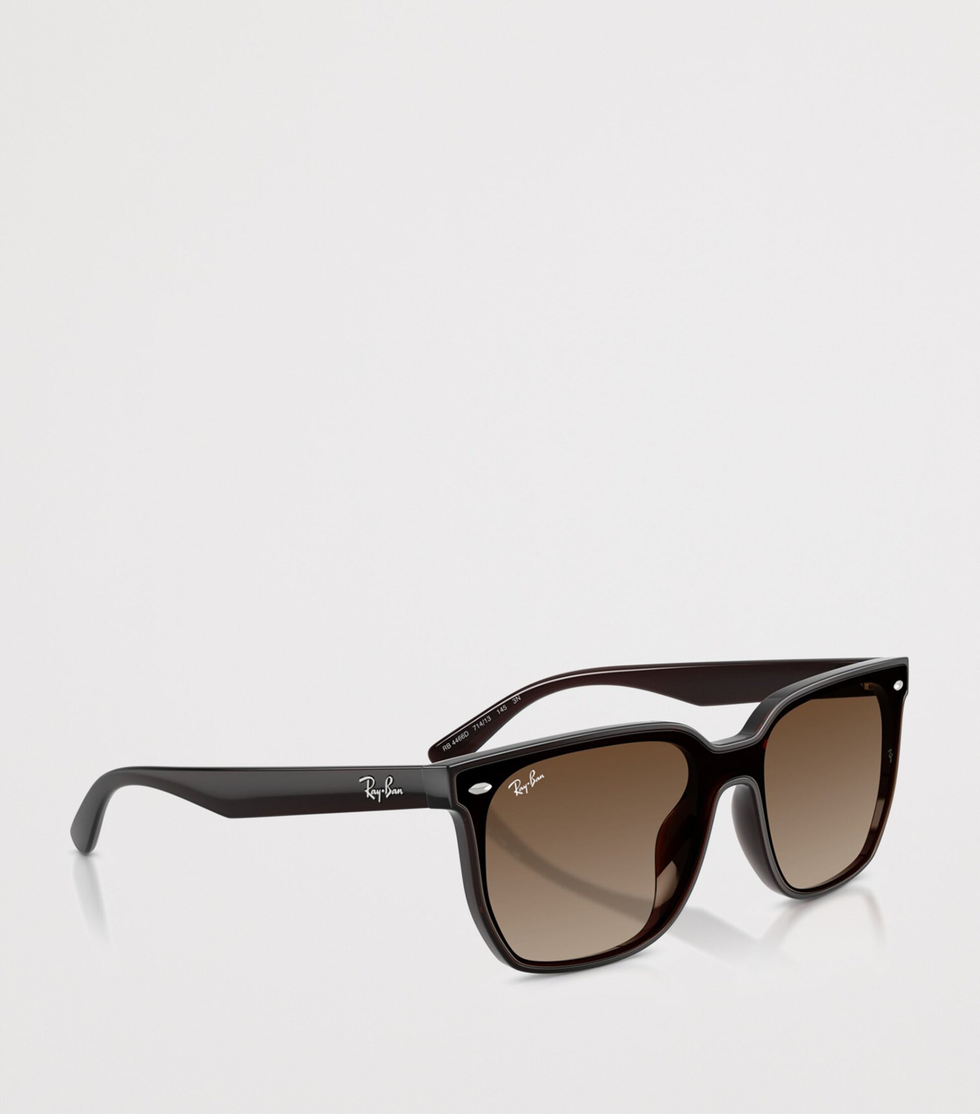 RB4466D Square Sunglasses