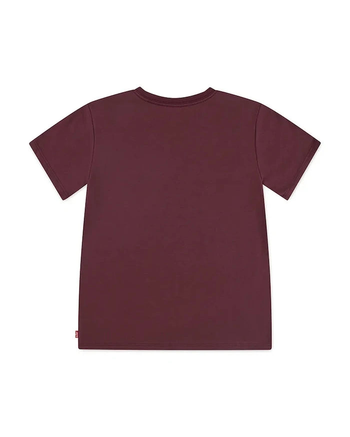 Levi's LVG BATWING CHEST HIT TEE Çocuk Tişört