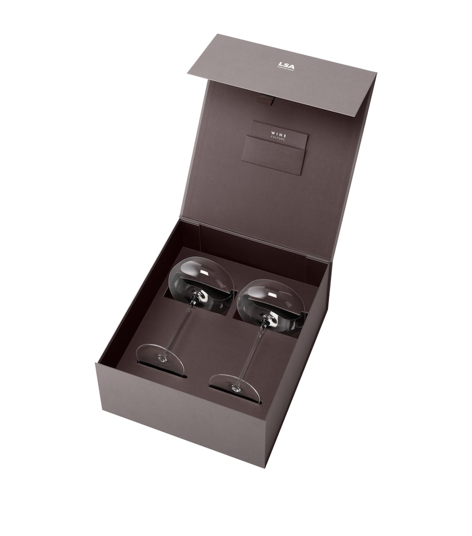 Set of 2 Wine Culture Champagne Saucers (320ml)