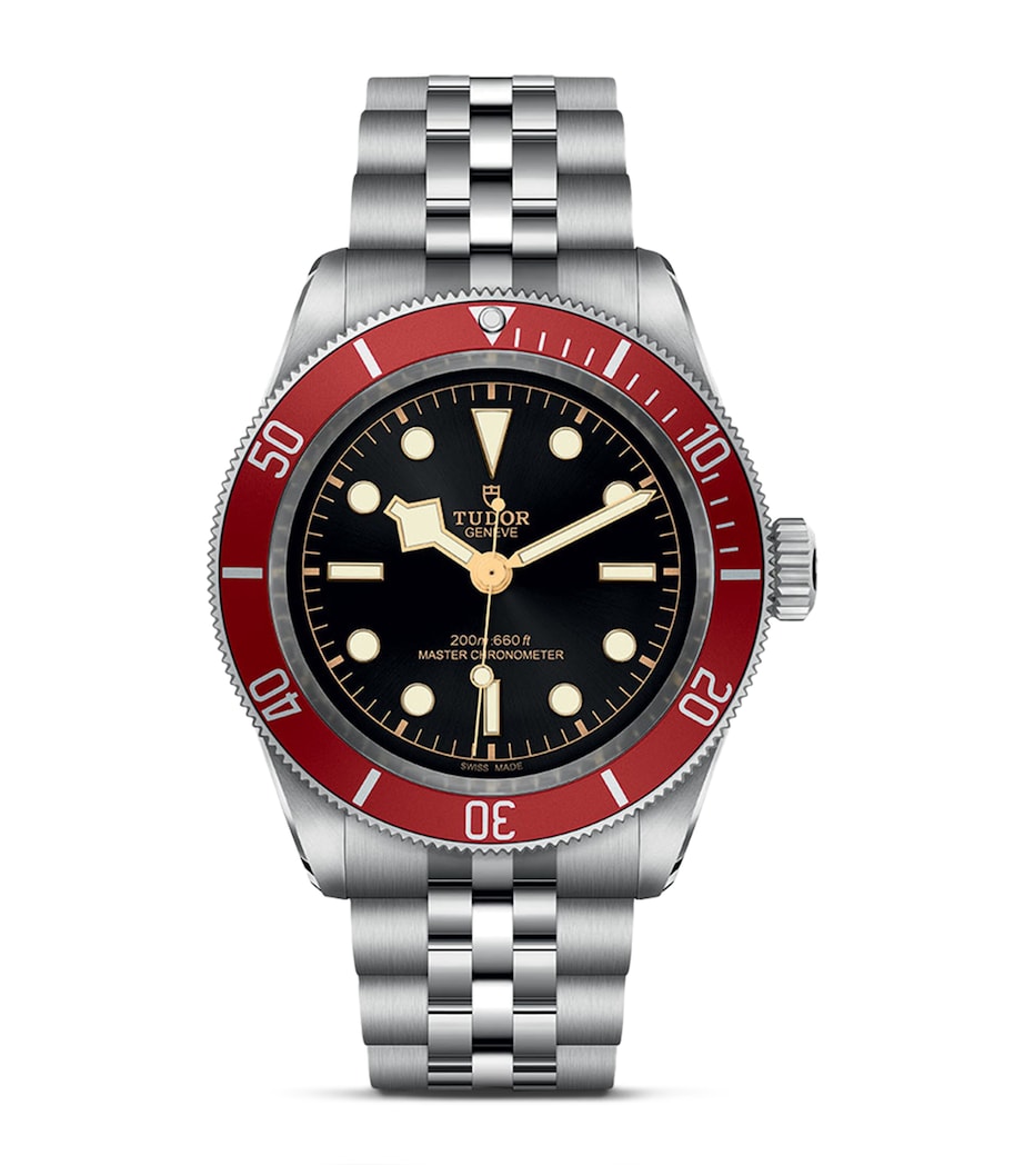 TUDOR Stainless Steel Black Bay Watch 41mm