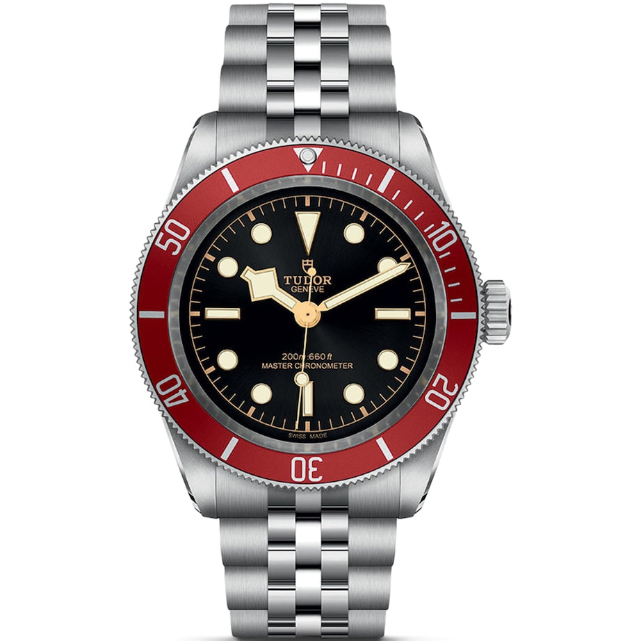 TUDOR Stainless Steel Black Bay Watch 41mm