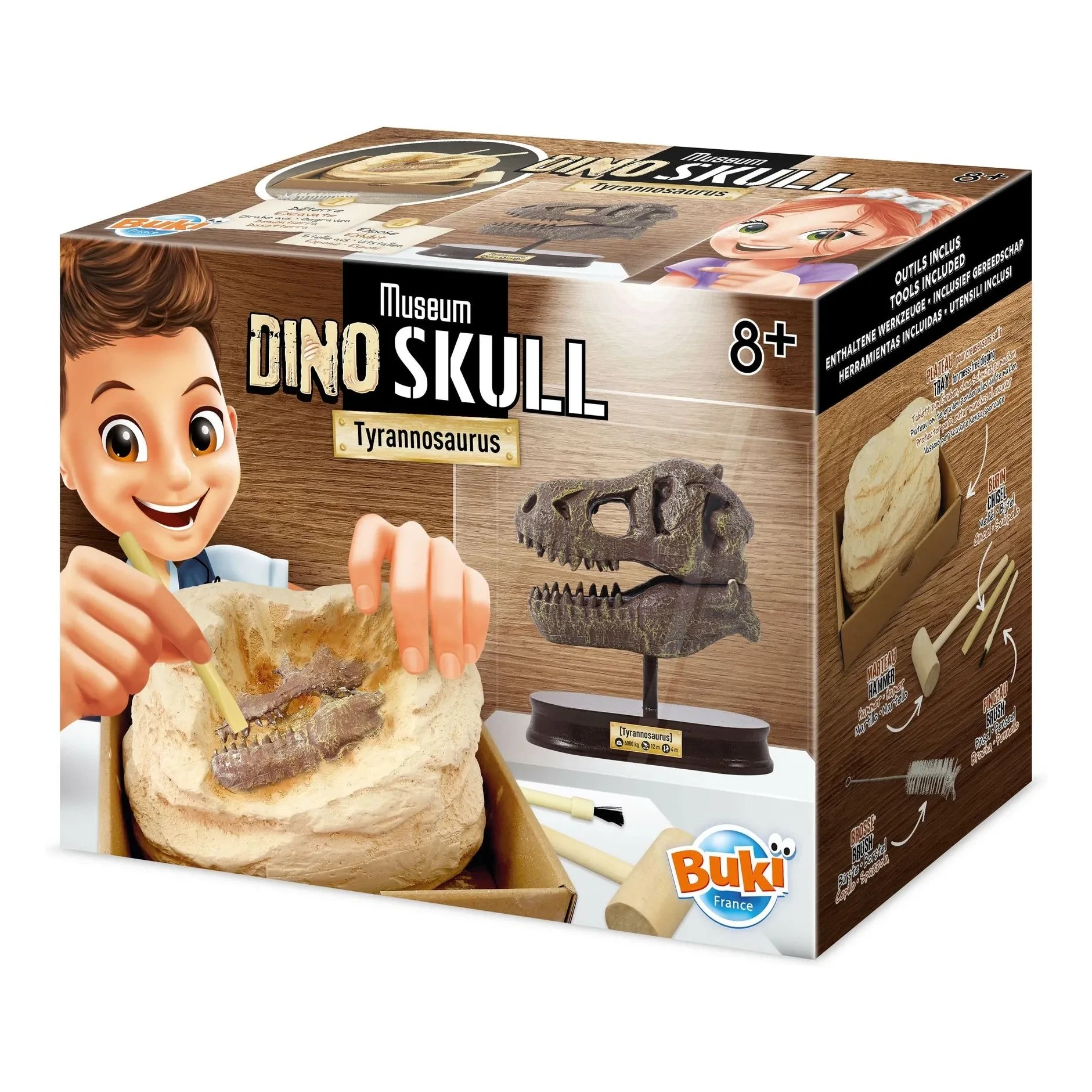 Buki - Archaeology set - Museum Dino Skull