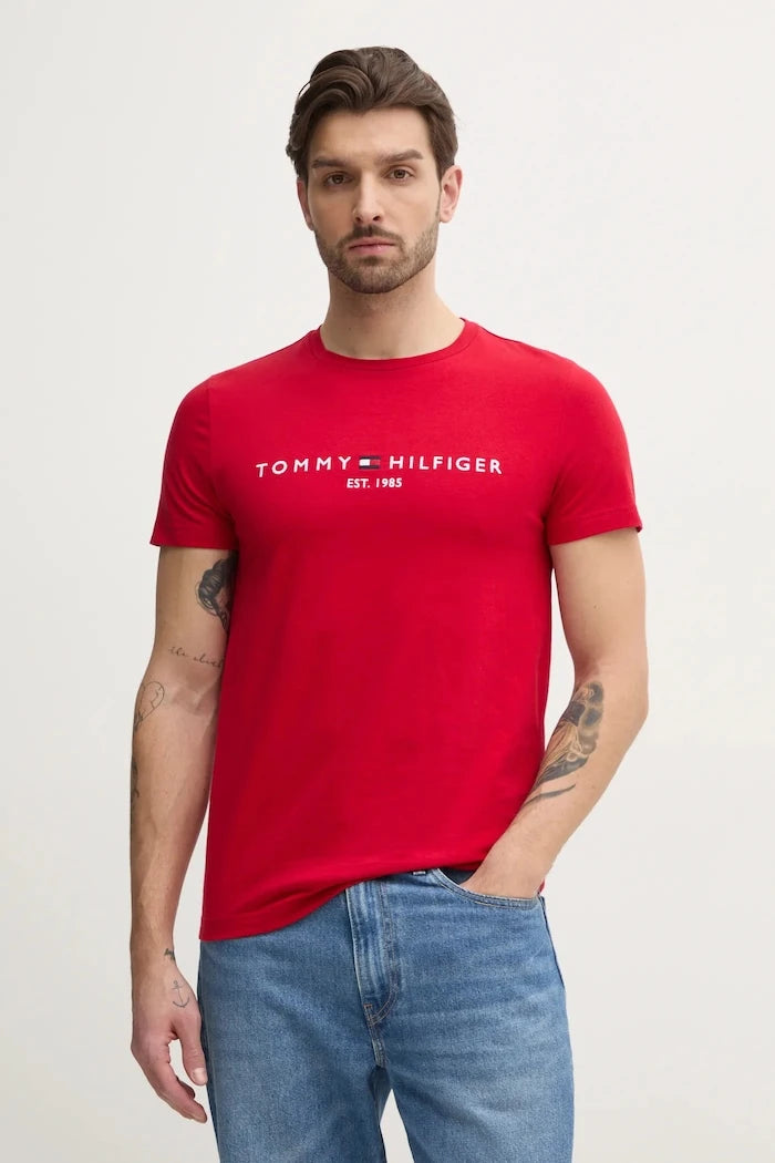Tommy Hilfiger erkek pamuklu tişört