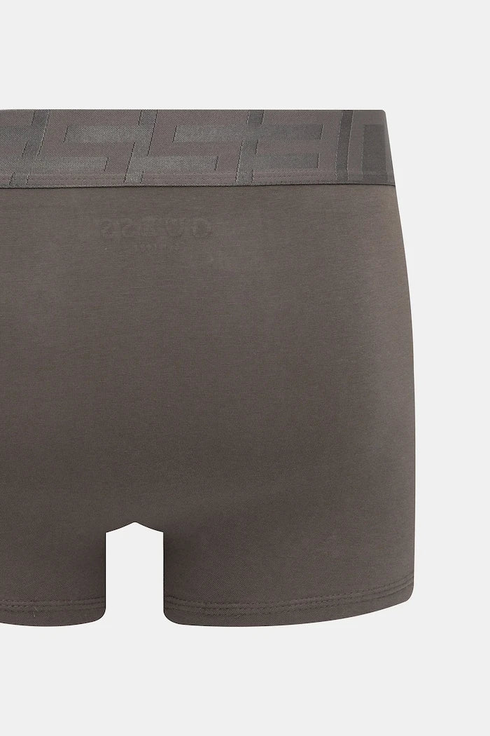 Guess Boxer (3 Çift)