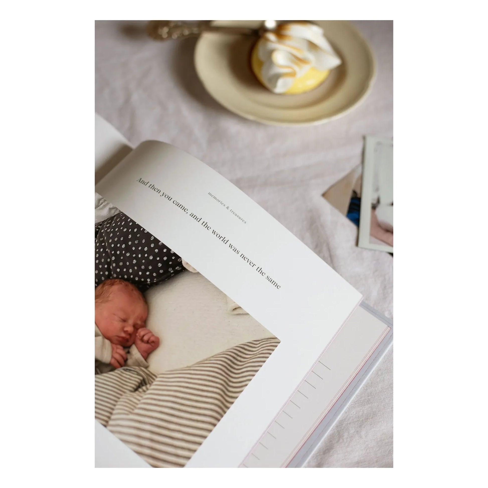 Specialday - My Pregnancy diary - EN | Grey blue