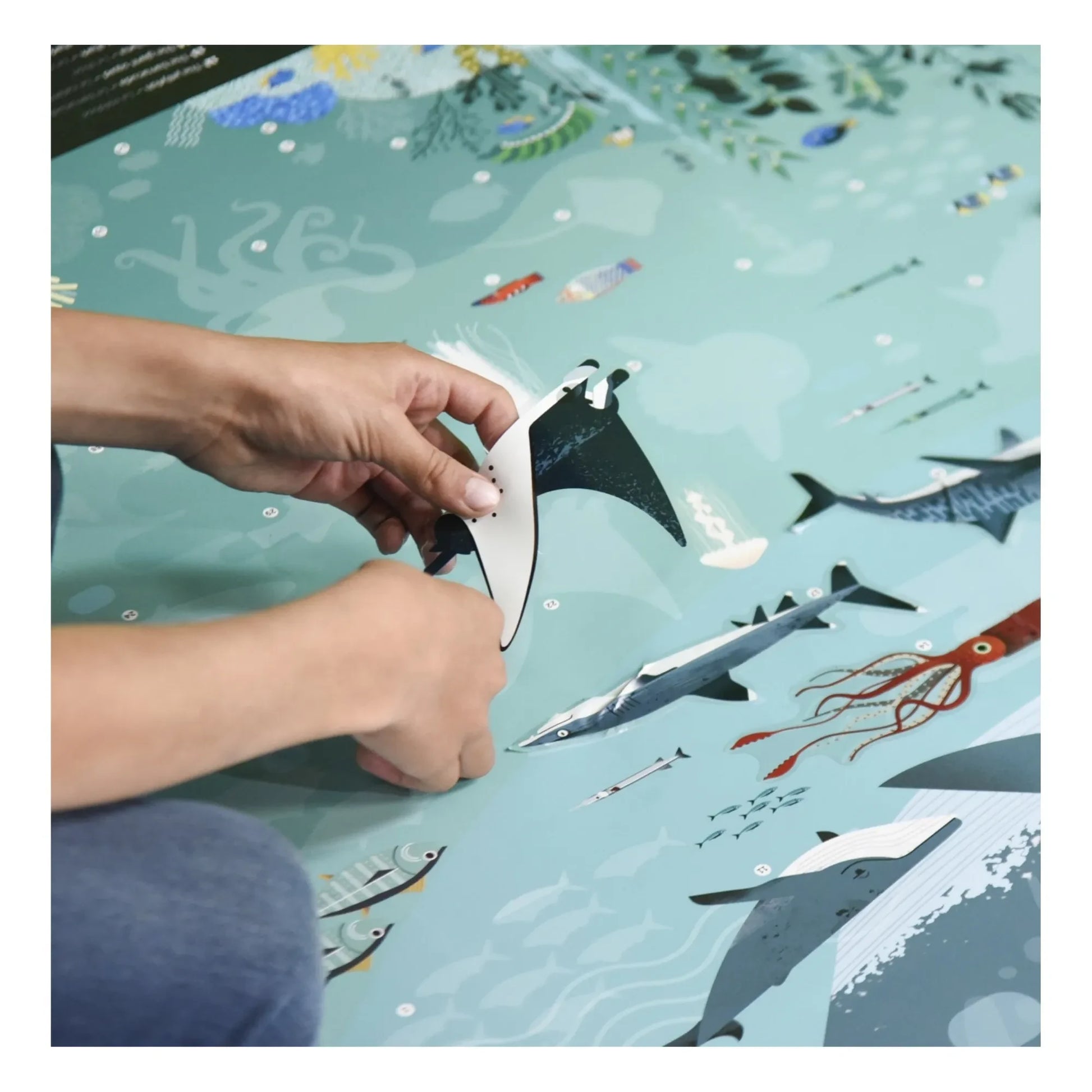 Poppik - Ocean Poster+ Stickers
