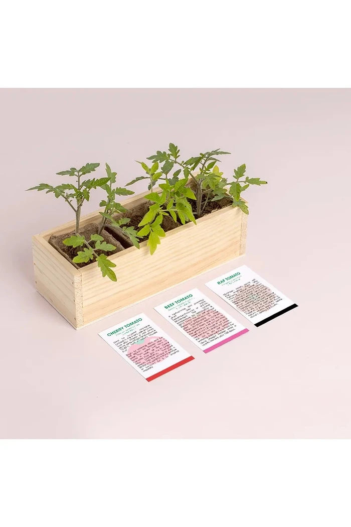 RESETEA Mini garden Tomatoes Bitki Yetiştirme Seti 21 x 7,8 x 6,5 cm