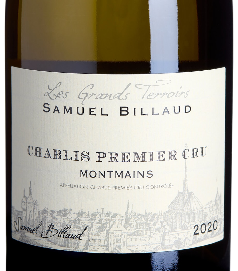 Samuel Billaud Montmains Chablis Premier Cru 2020 (75cl) - Chablis, France