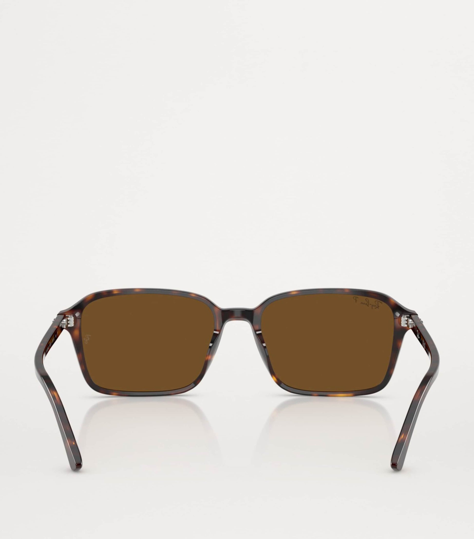 Ray-Ban Brown RB2231 Raimond Sunglasses