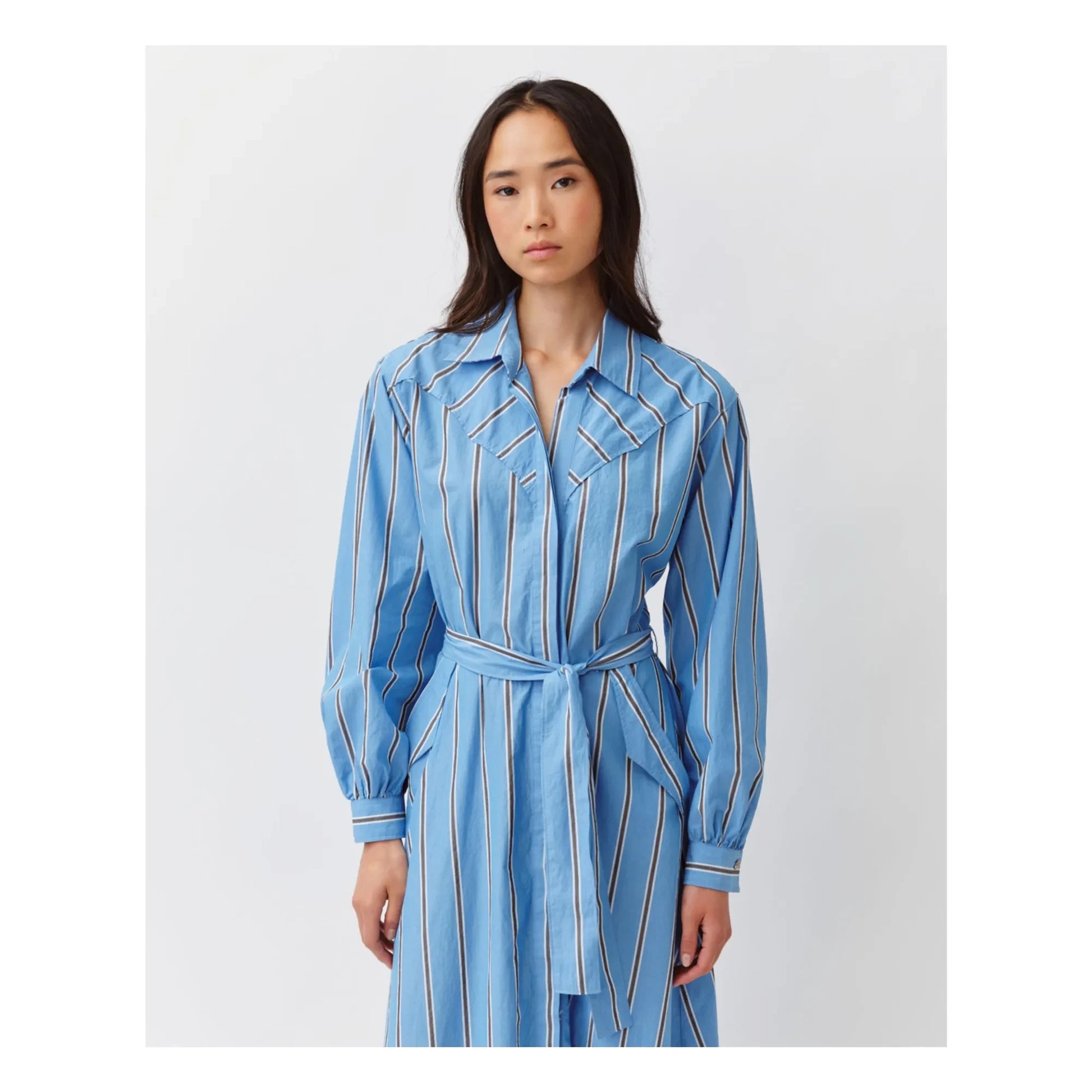 Diega - Ravia dress | Blue