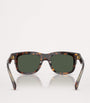 Moncler Brown Acetate Claro ME6004 Sunglasses