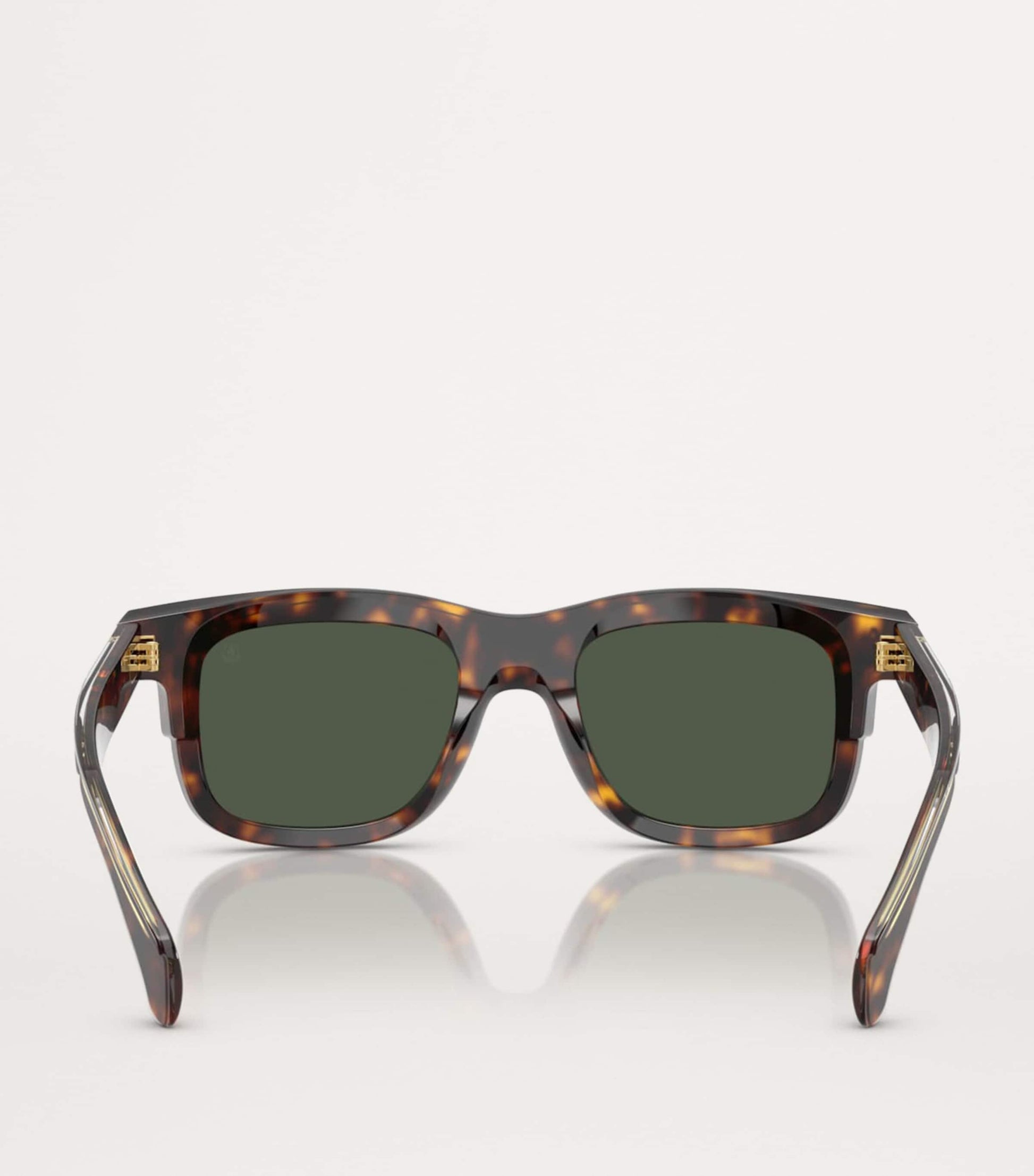 Moncler Brown Acetate Claro ME6004 Sunglasses