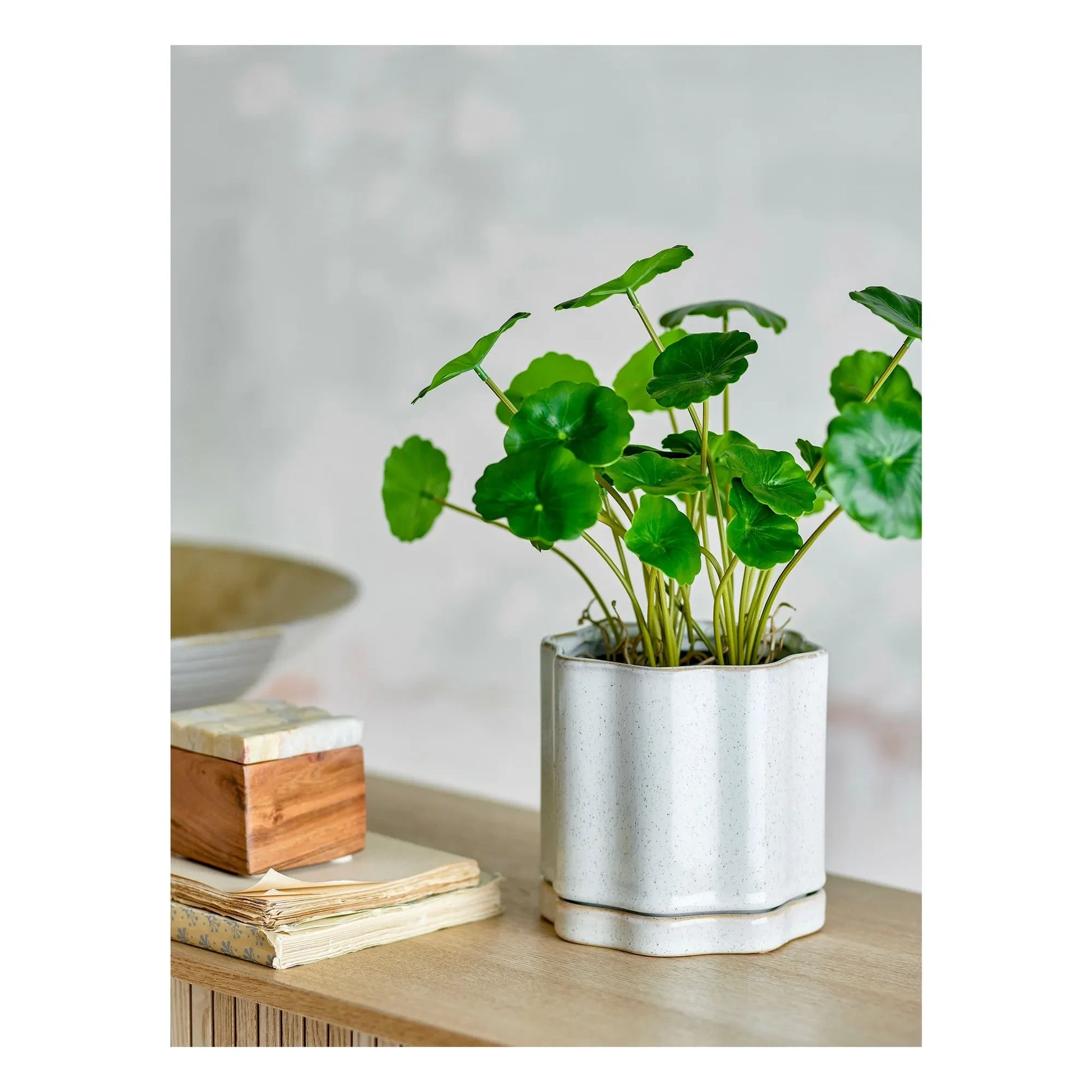 Bloomingville - Argyle stoneware flowerpot | Grey