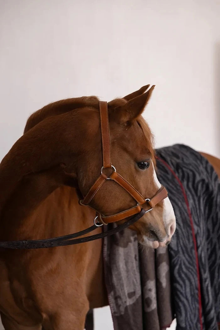 Yünlü Battaniye Byon Anima 130 x 160 cm