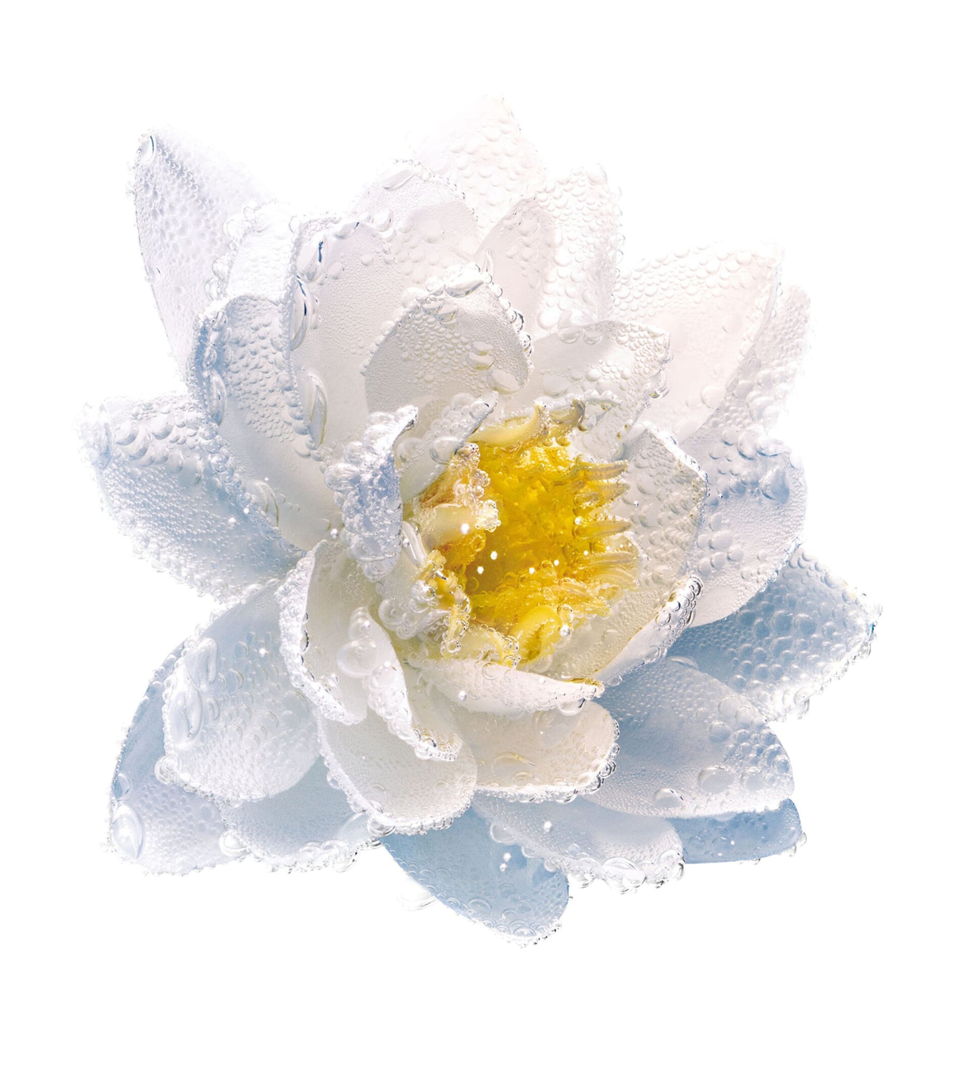 DIOR Purifying Nymphéa Bi-Phase Makeup Remover (125ml)