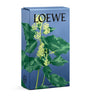 LOEWE Ivy Room Spray (150ml)