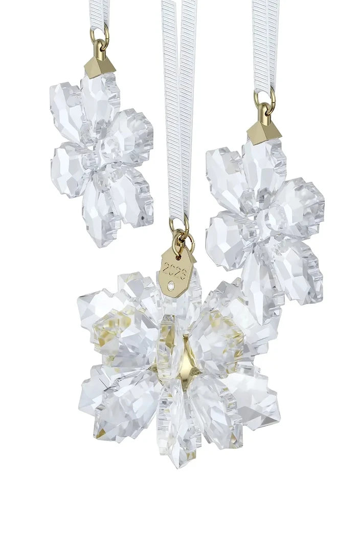 Swarovski Dekorasyon Seti ANNUAL