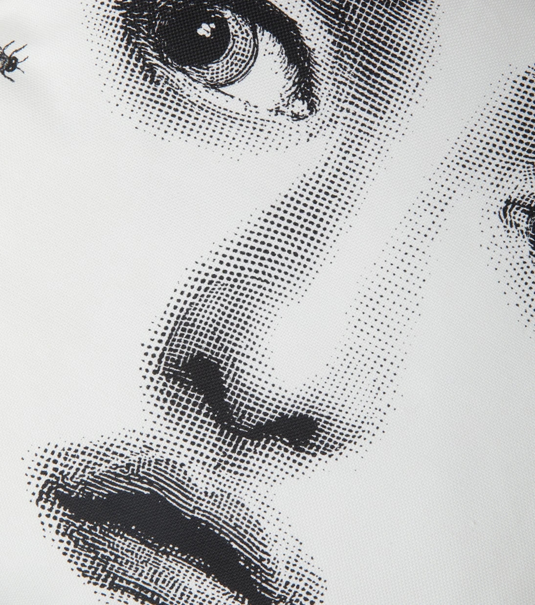 Fornasetti - Tema E Variazioni Ape cushion