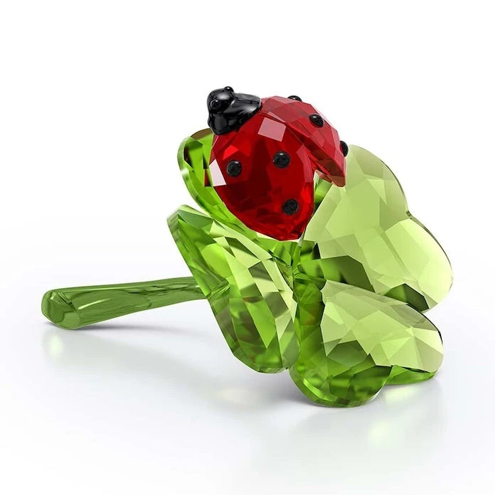 Swarovski IDYLLIA Dekorasyon