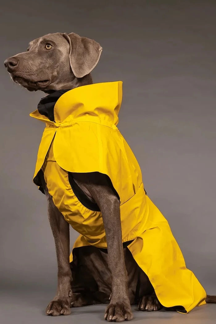 PAIKKA Visibility Raincoat Köpek Yağmurluğu 56 x 45 x 0,9 cm