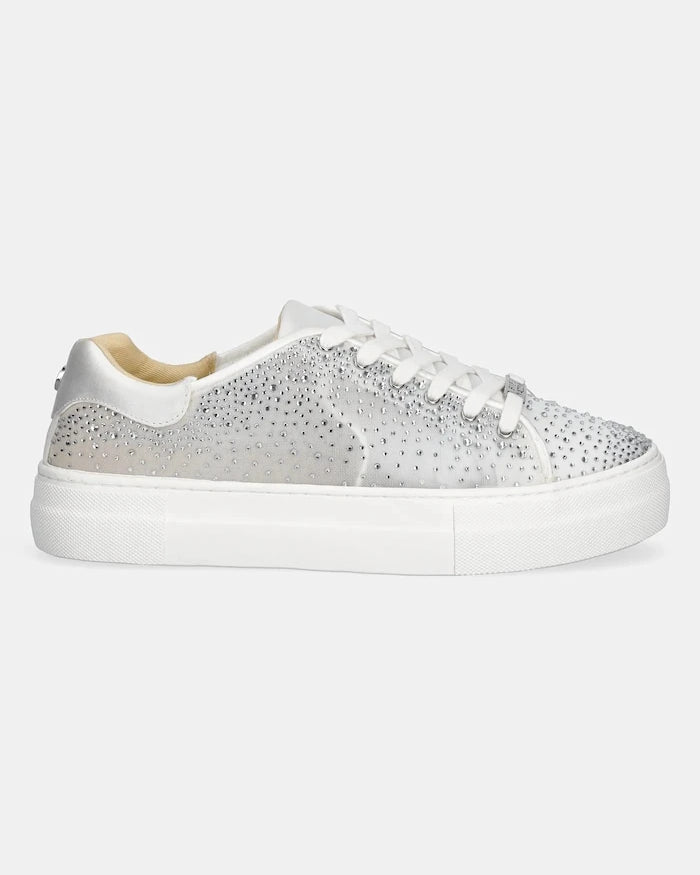 Маратонки Steve Madden Roya