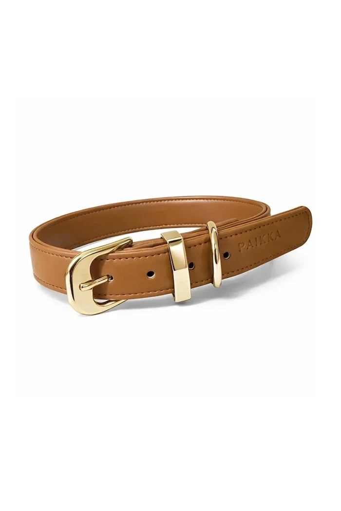 PAIKKA Köpek Tasması XS