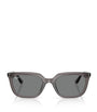 Ray-Ban Grey RB4439D Sunglasses