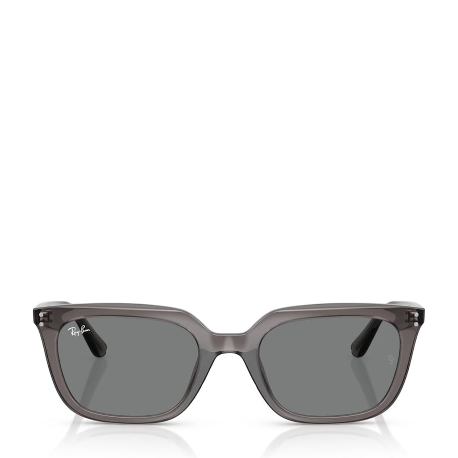 Ray-Ban Grey RB4439D Sunglasses