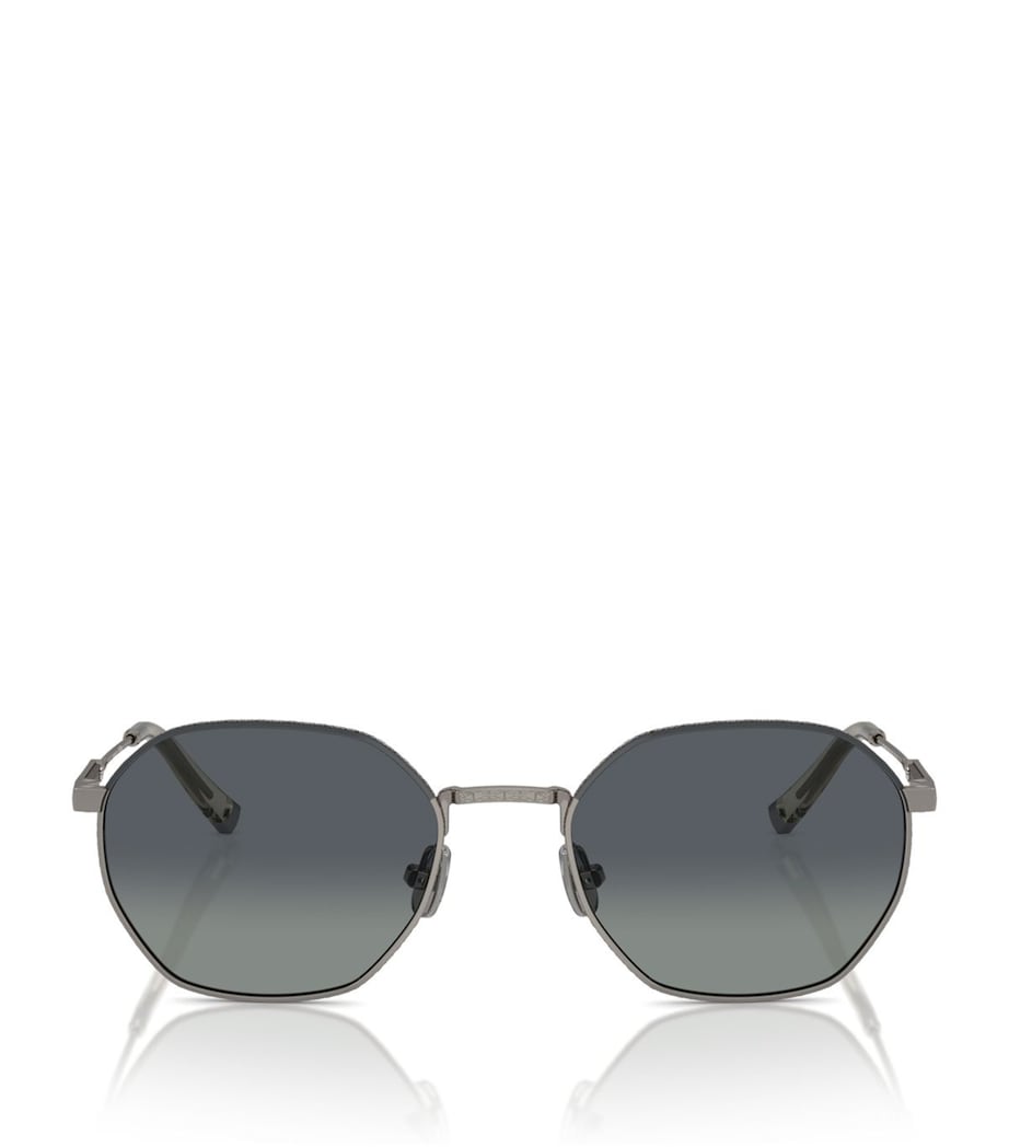 Titanium BC2003ST Sunglasses