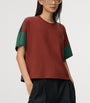 LOEWE Brown Cotton-Silk Box-Fit T-Shirt