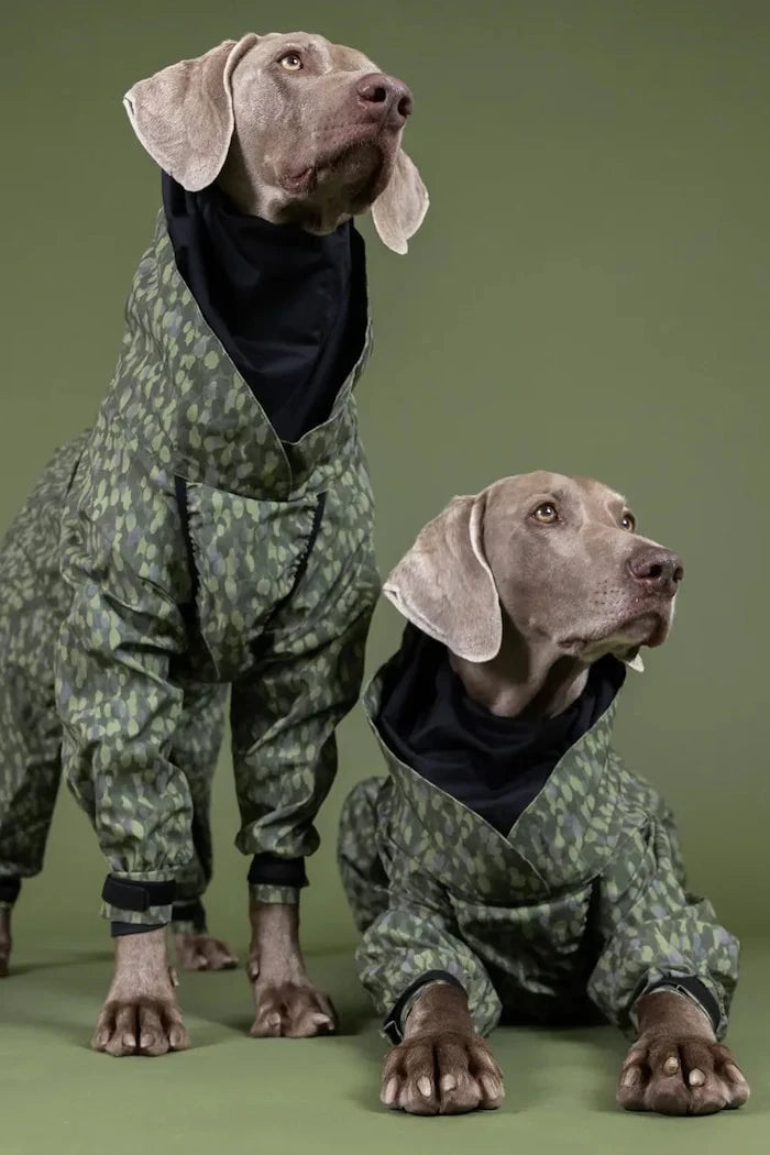 Дъждобран за куче PAIKKA Rain Suit 38 x 31 x 1,2 cm