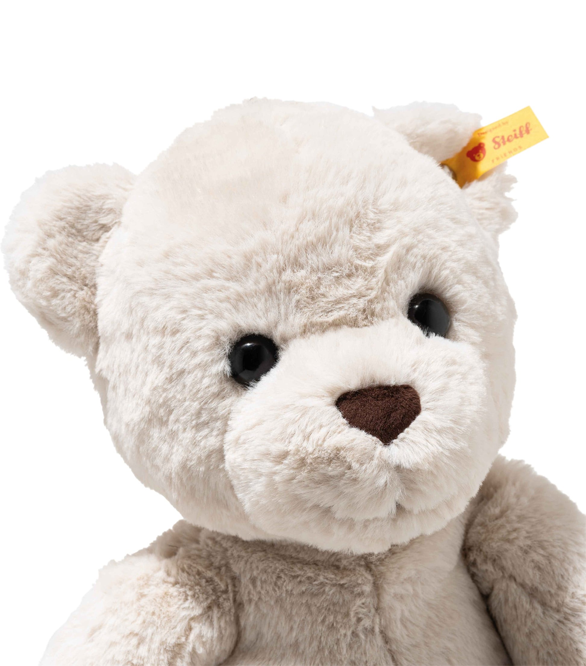 Robby Teddy Bear (42cm)