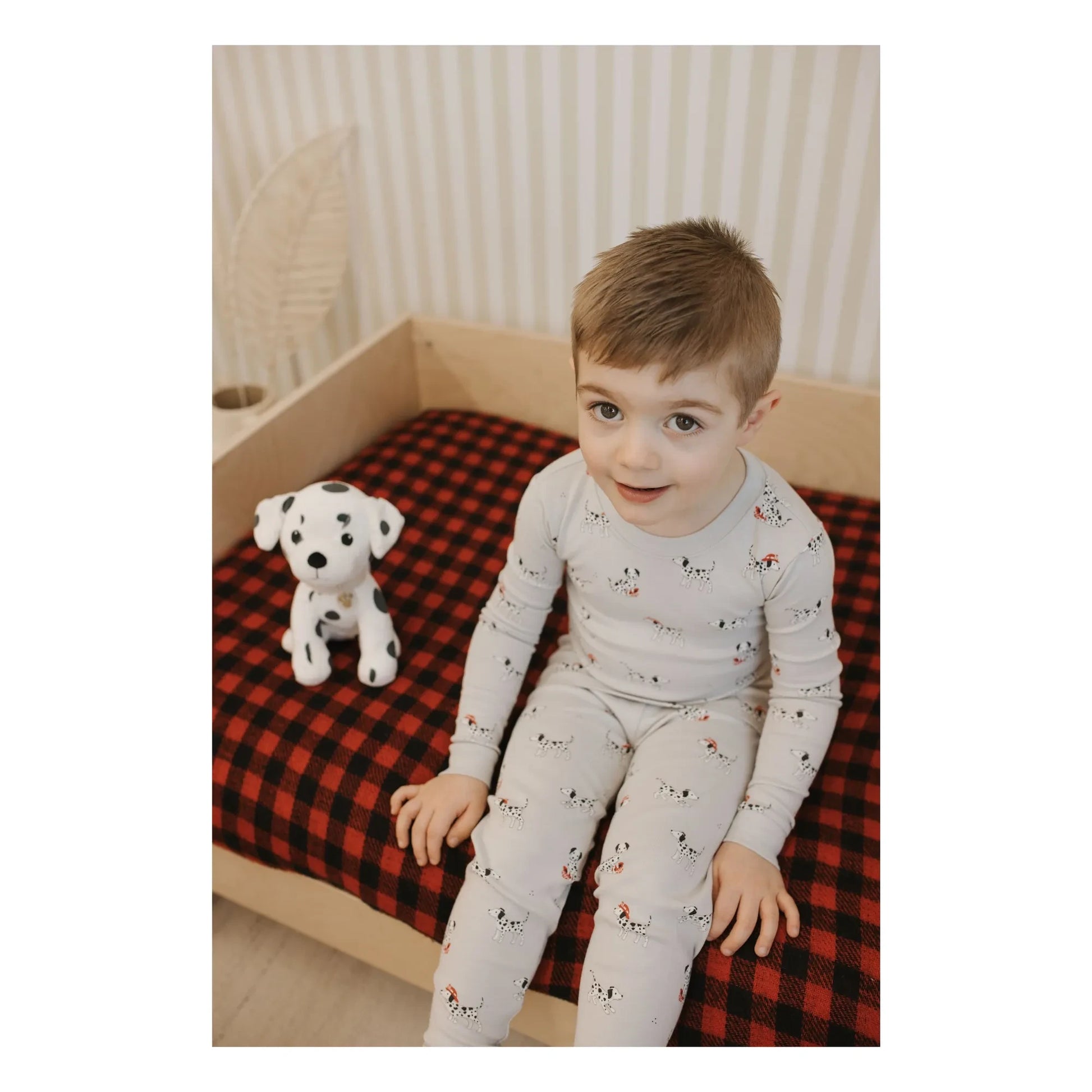 Petit Lem - Dalmatians organic cotton pyjamas | Grey