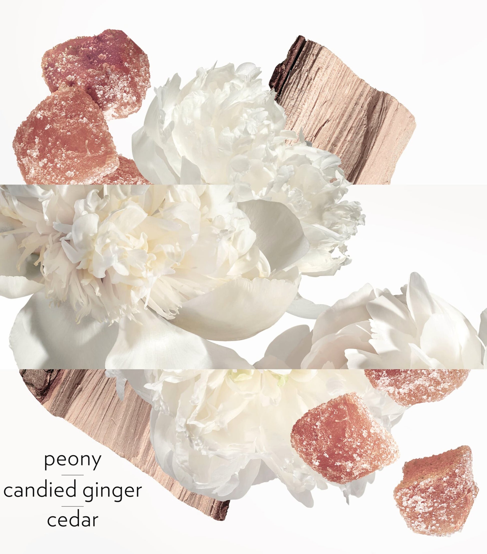 HERMÈS Twilly D'Hermès Ginger Eau de Parfum (85Ml)