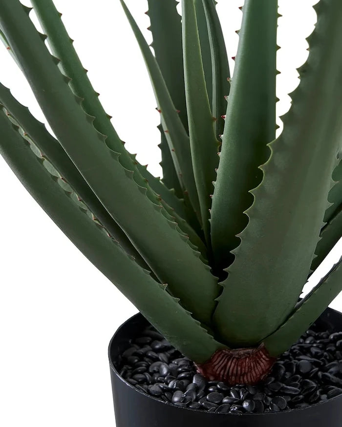 House Nordic Aloe Vera Yapay Saksı Bitkisi